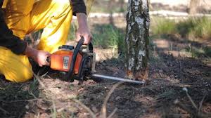 Best Lawn Watering Services  in Miami, OK
