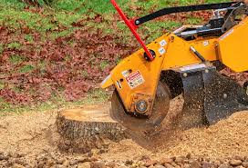 Best Storm Damage Tree Cleanup  in Miami, OK