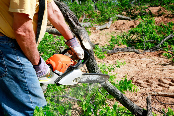 Best Seasonal Cleanup (Spring/Fall)  in Miami, OK